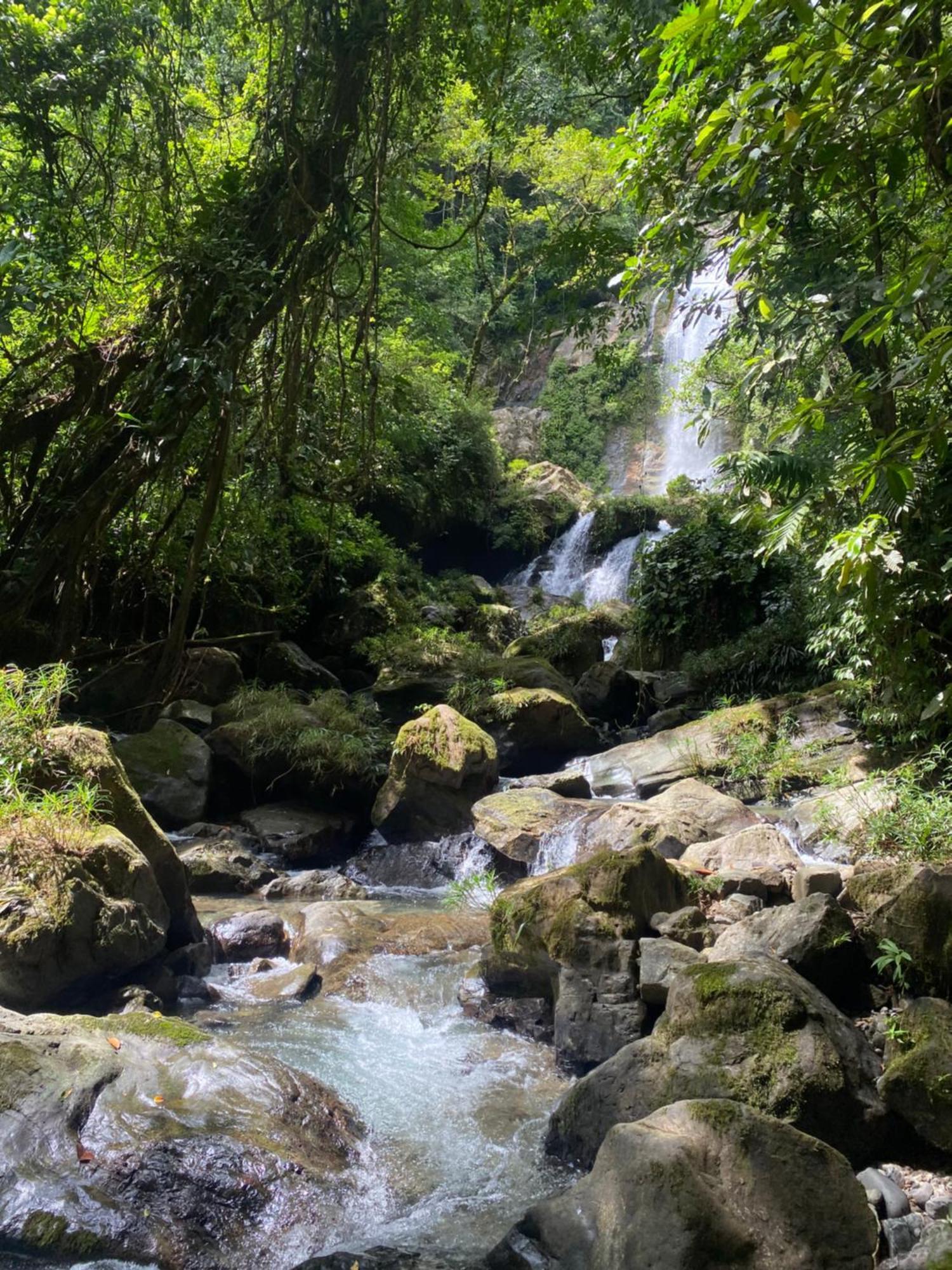 Rainforest Yasmin Hotel Santa Fe  Ngoại thất bức ảnh