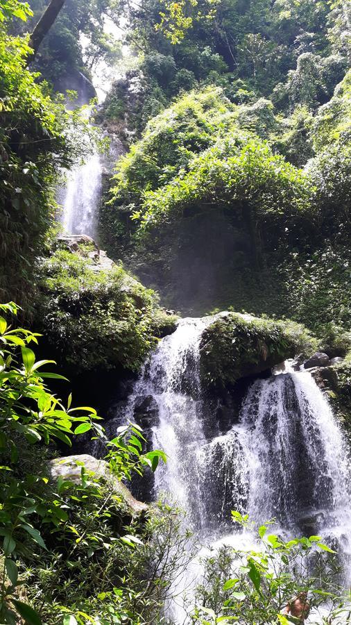 Rainforest Yasmin Hotel Santa Fe  Ngoại thất bức ảnh