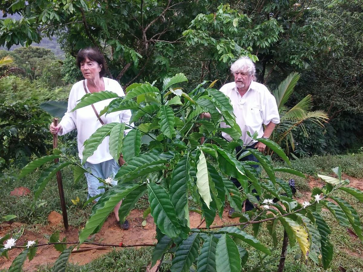 Rainforest Yasmin Hotel Santa Fe  Ngoại thất bức ảnh