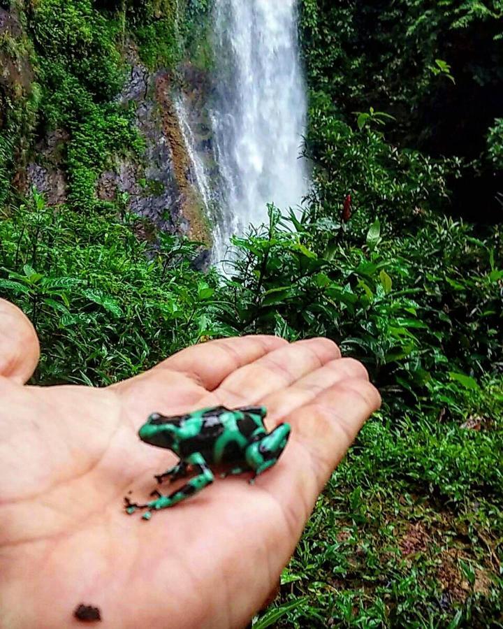 Rainforest Yasmin Hotel Santa Fe  Ngoại thất bức ảnh