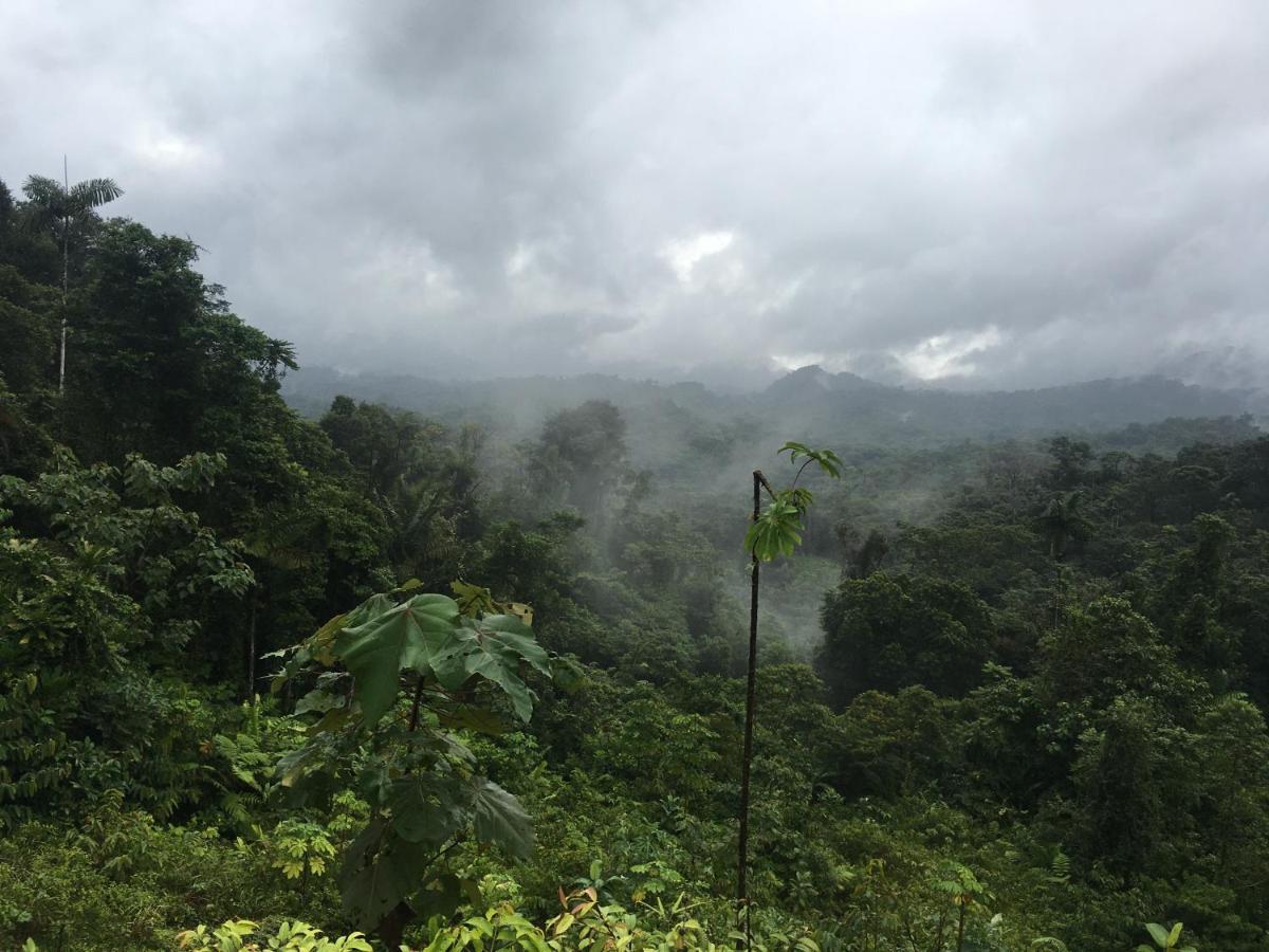 Rainforest Yasmin Hotel Santa Fe  Ngoại thất bức ảnh